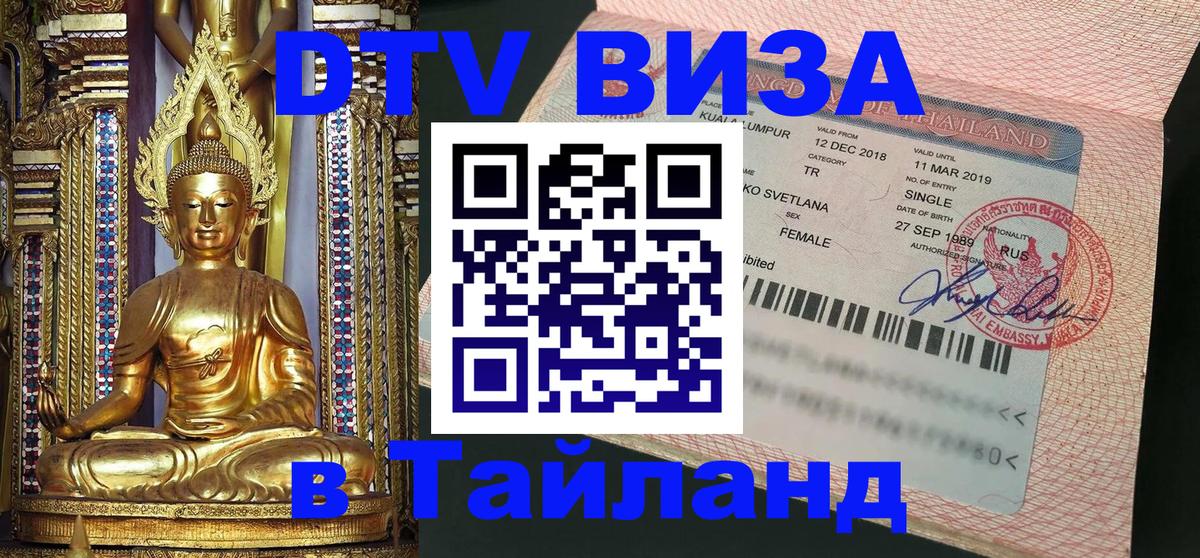 Оформление DTV визы под ключ: стоимость и тарифы, только загранпаспорт - Маскат  10.01.2026 